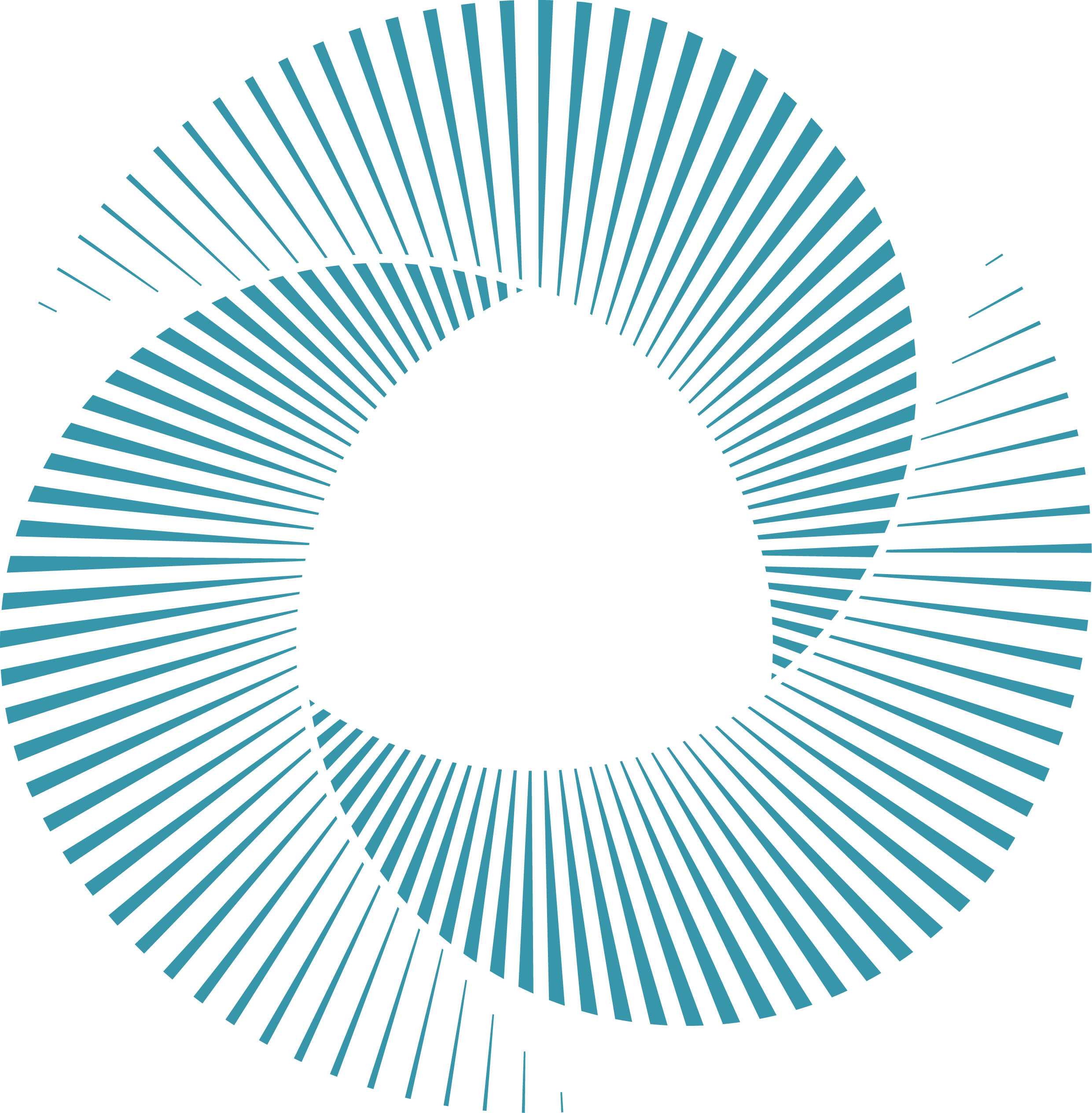 Hoyer VMS Fifth Element Vector BLUE RGB (1)