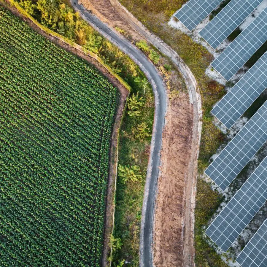 Adobestock 558874018