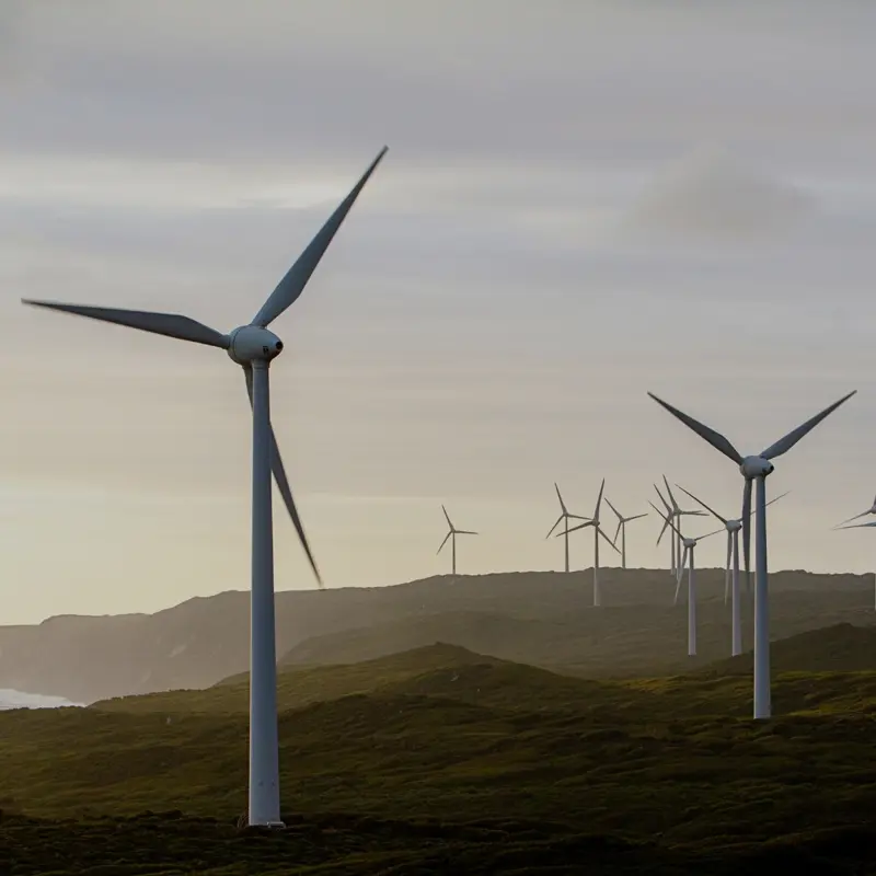 AdobeStock_350098291_overlay 20